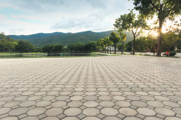 Best Driveway Paver Repair  in Cooper, TX