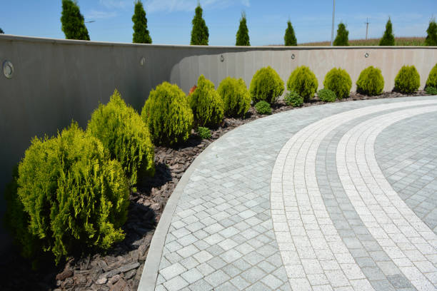 Best Decorative Driveway Pavers  in Cooper, TX